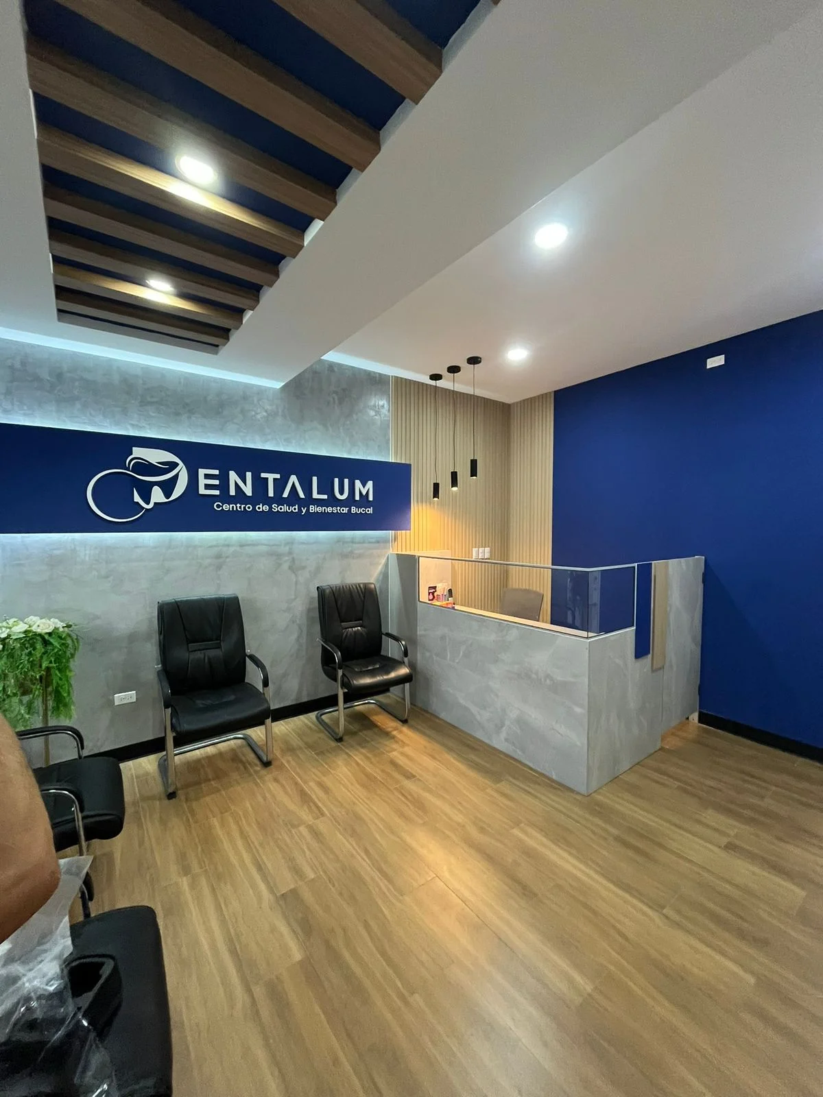 Recepción de Dentalum con el rótulo retroiluminado sobre la pared azul y sillas de espera